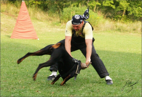 Summer training camp - Jelenec - 2007